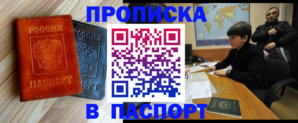 прописка для школы в Шали